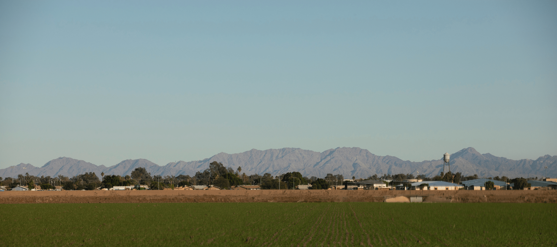 Expansive green farmland with distant mountains under a clear blue sky